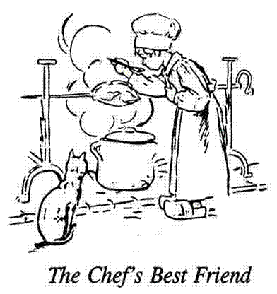 The Chef's Best Friend